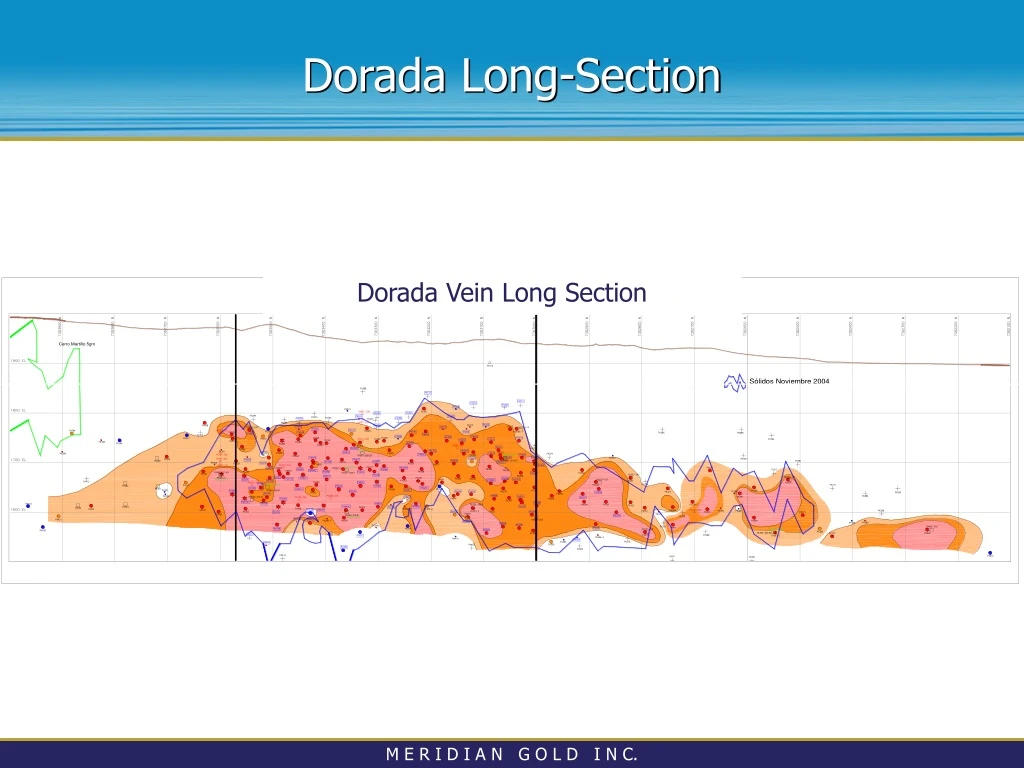 dorada long section