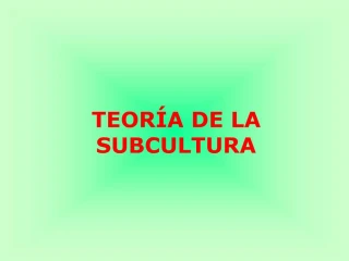 TEOR A DE LA SUBCULTURA - slide 1
