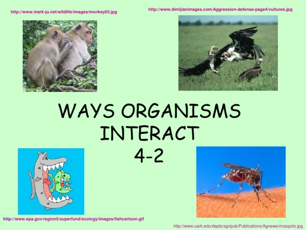 WAYS ORGANISMS INTERACT 4-2