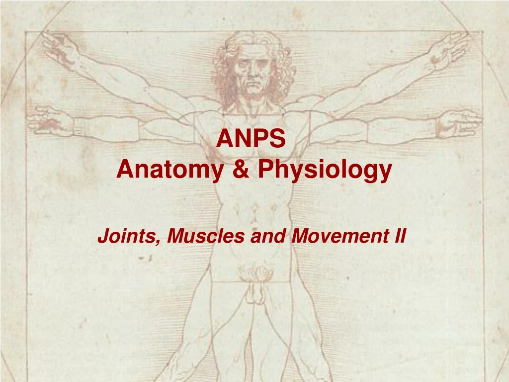 anps anatomy physiology