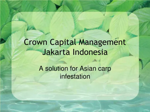 Crown Capital Management Jakarta Indonesia - A solution for