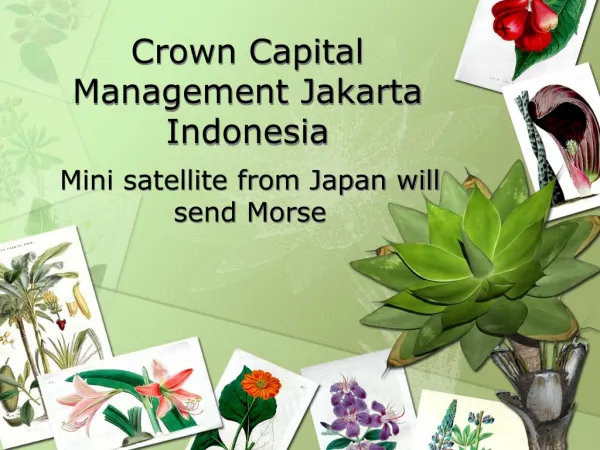 Crown Capital Management Jakarta Indonesia - Mini satellite