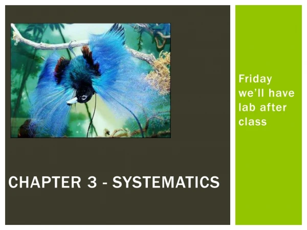 Chapter 3 - Systematics