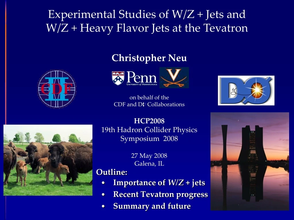 experimental studies of w z jets and w z heavy