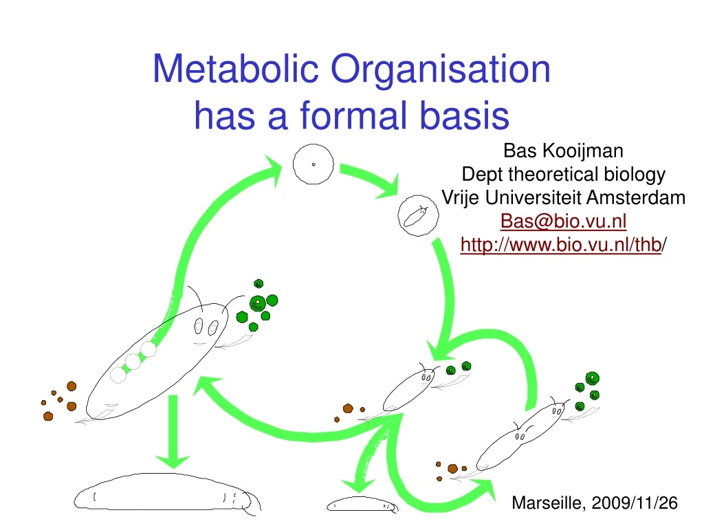 metabolic organisation has a formal basis