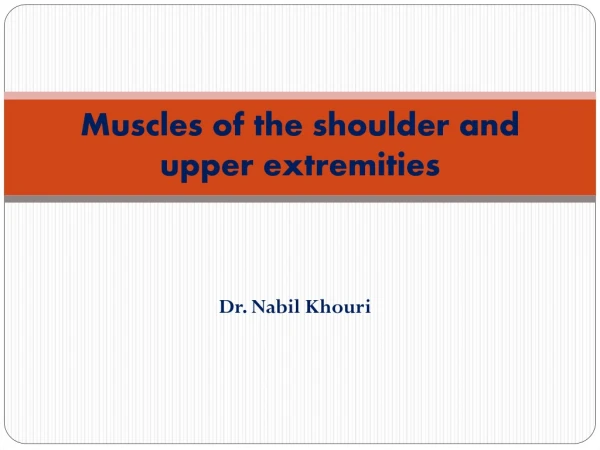 Muscles of the shoulder and upper extremities