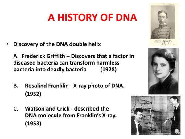 A HISTORY OF DNA