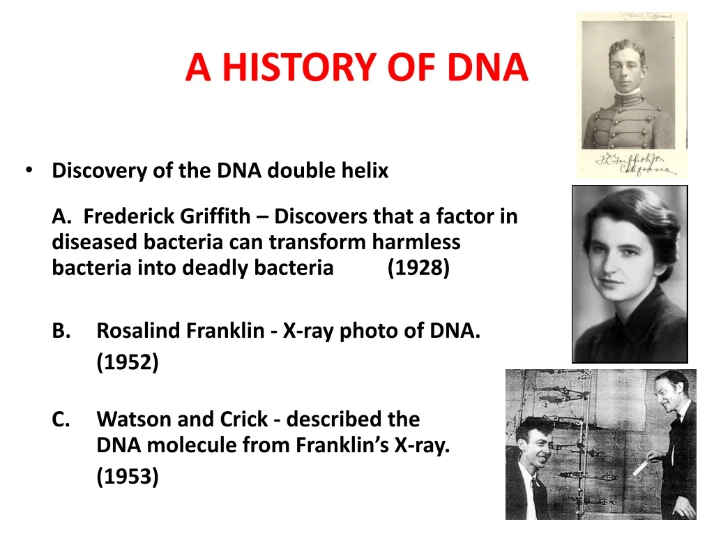 a history of dna