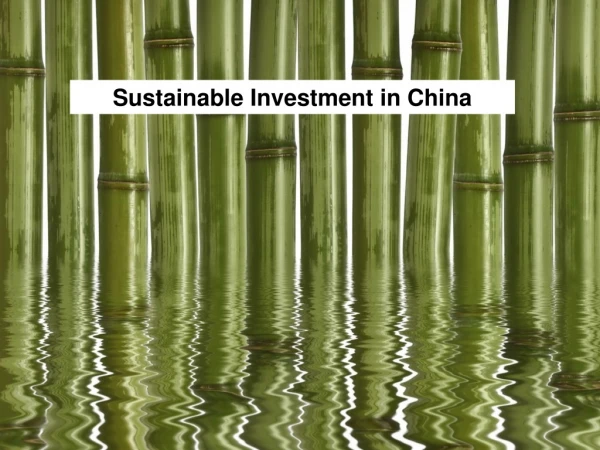 Sustainable Investment in China