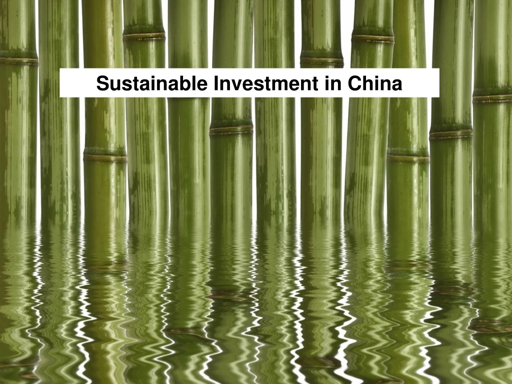 sustainable investment in china