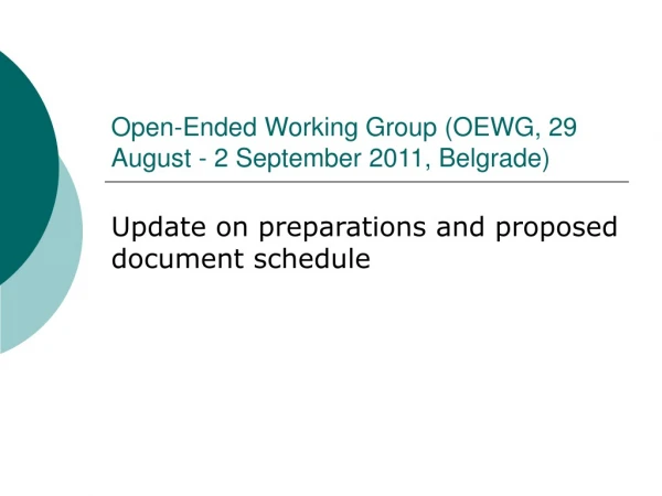 Open-Ended Working Group (OEWG, 29 August - 2 September 2011, Belgrade)