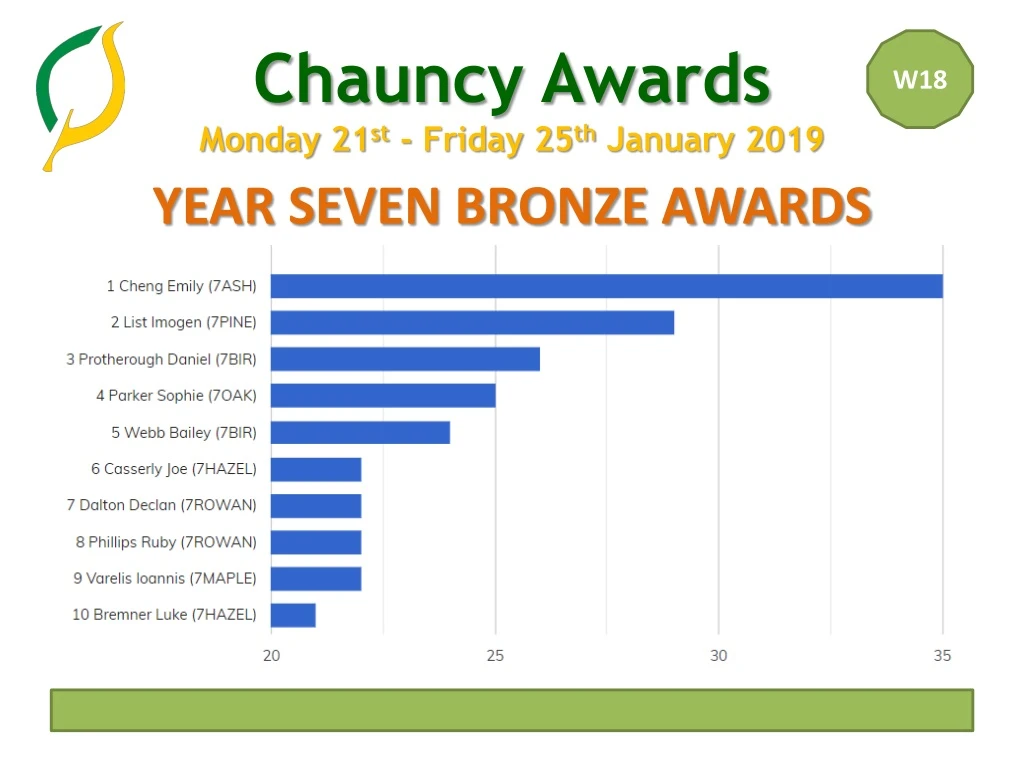 year seven bronze awards