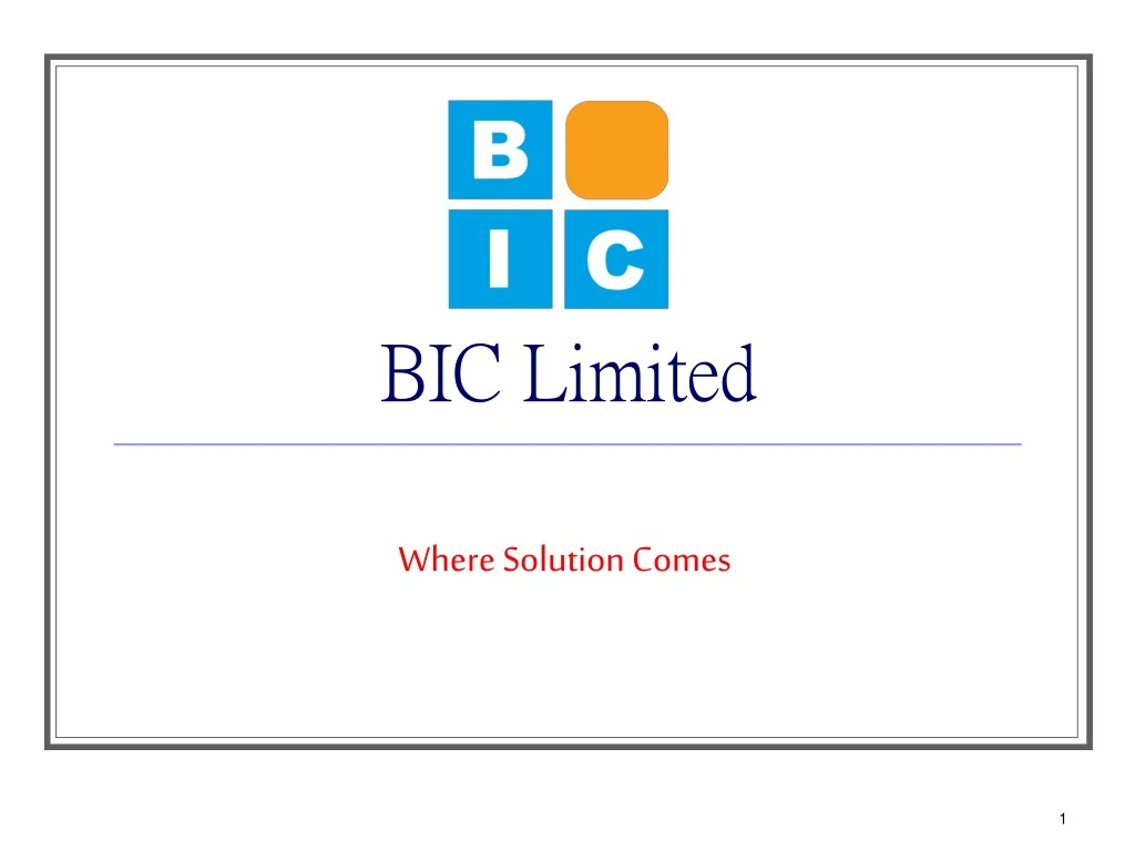 bic limited