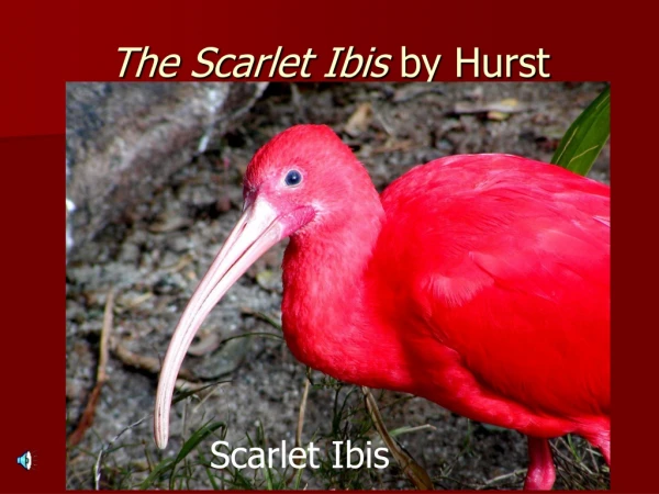 The Scarlet Ibis by Hurst