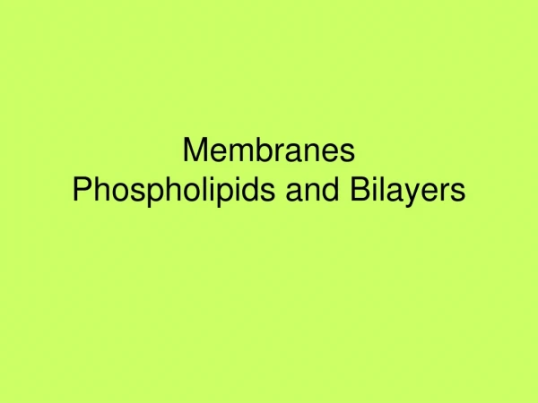 Membranes Phospholipids and Bilayers