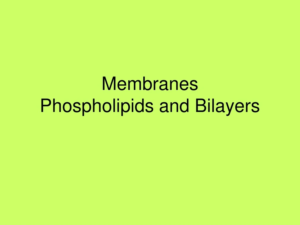 membranes phospholipids and bilayers