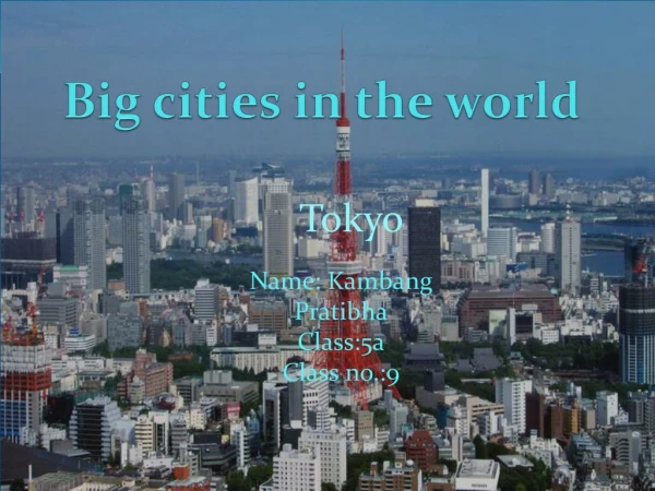 Big cities in the world