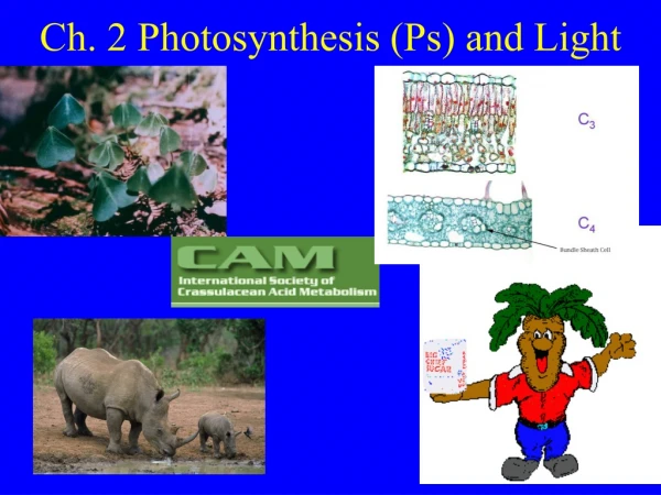 Ch. 2 Photosynthesis (Ps) and Light