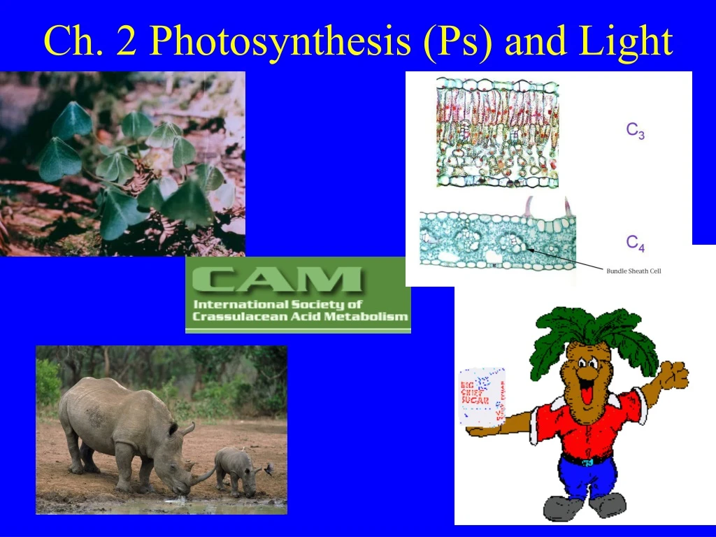 ch 2 photosynthesis ps and light
