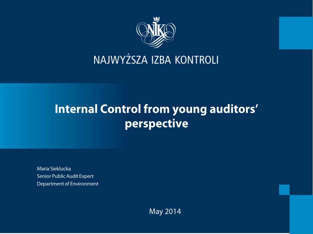 internal control from young auditors perspective