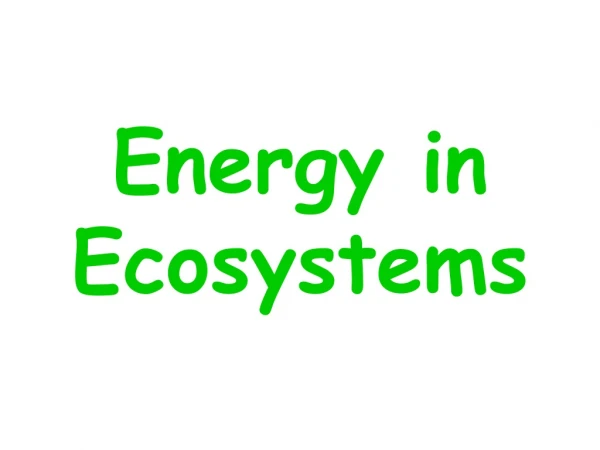 Energy in Ecosystems