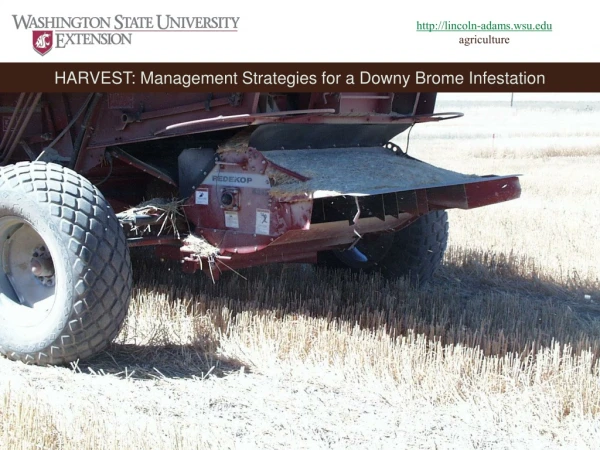 HARVEST: Management Strategies for a Downy Brome Infestation