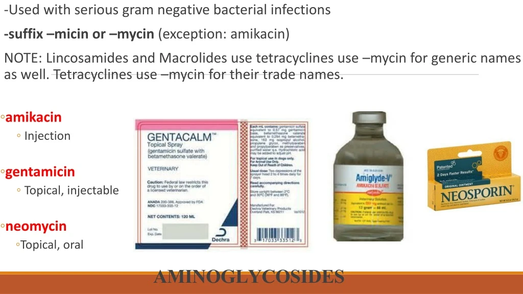 aminoglycosides