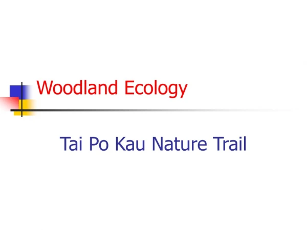 Woodland Ecology