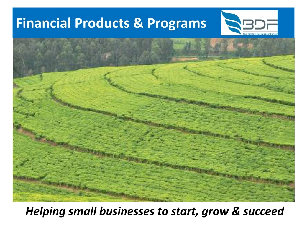 financial products programs