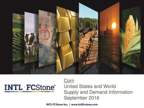 Corn United States and World Supply and Demand Information September 2016