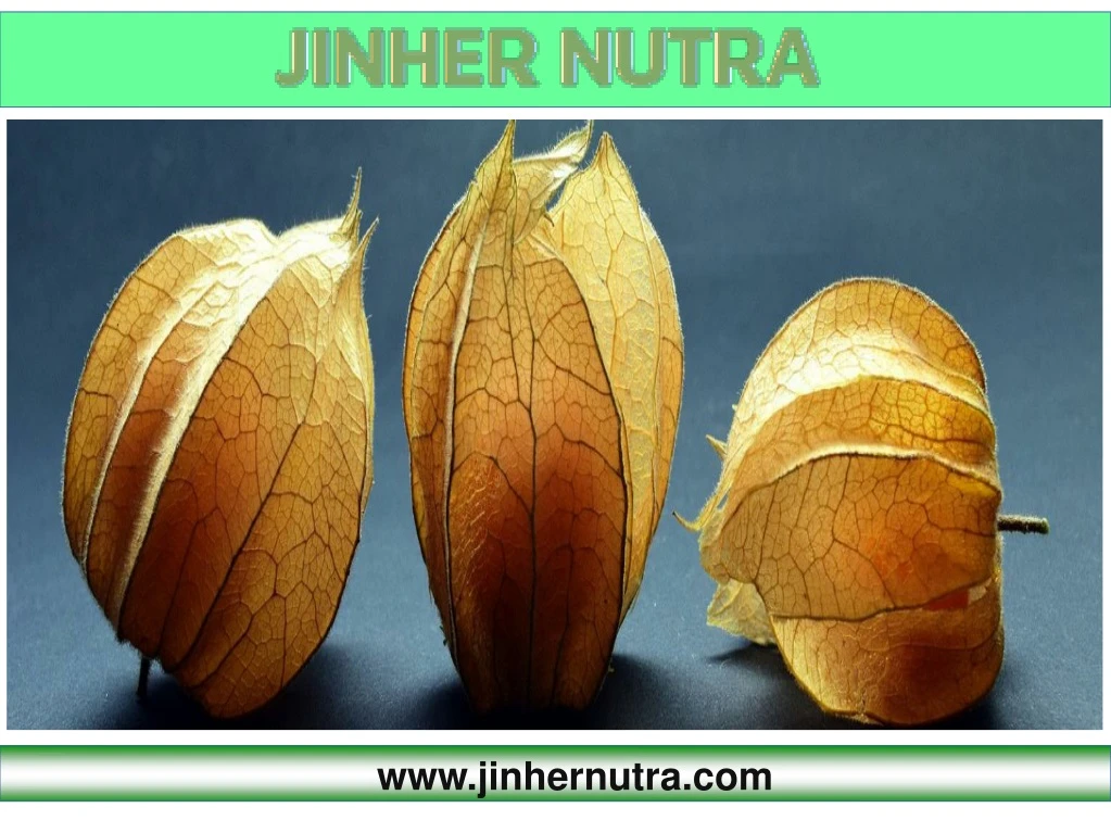 www jinhernutra com