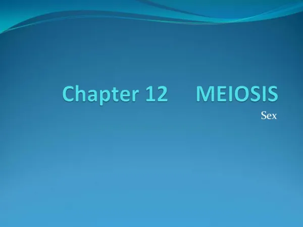 Chapter 12 MEIOSIS