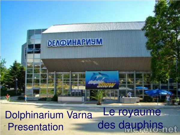Dolphinarium Varna Presentation