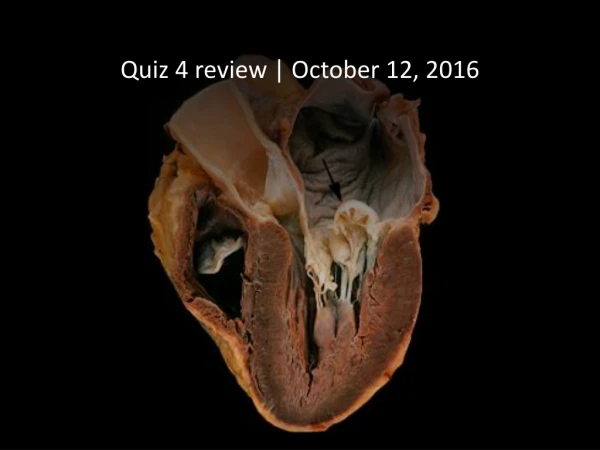 Quiz 4 review | October 12, 2016