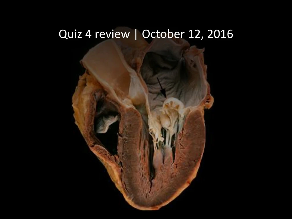 quiz 4 review october 12 2016