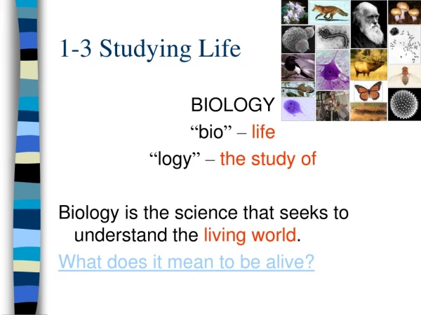 1-3 Studying Life