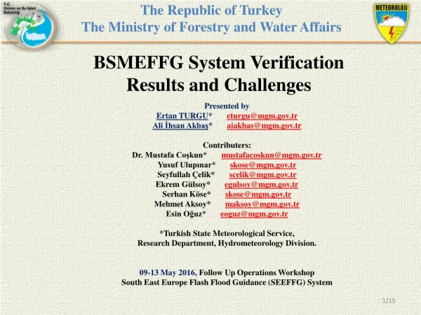 BSMEFFG System Verification Results and Challenges