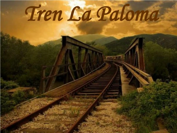 Tren La Paloma