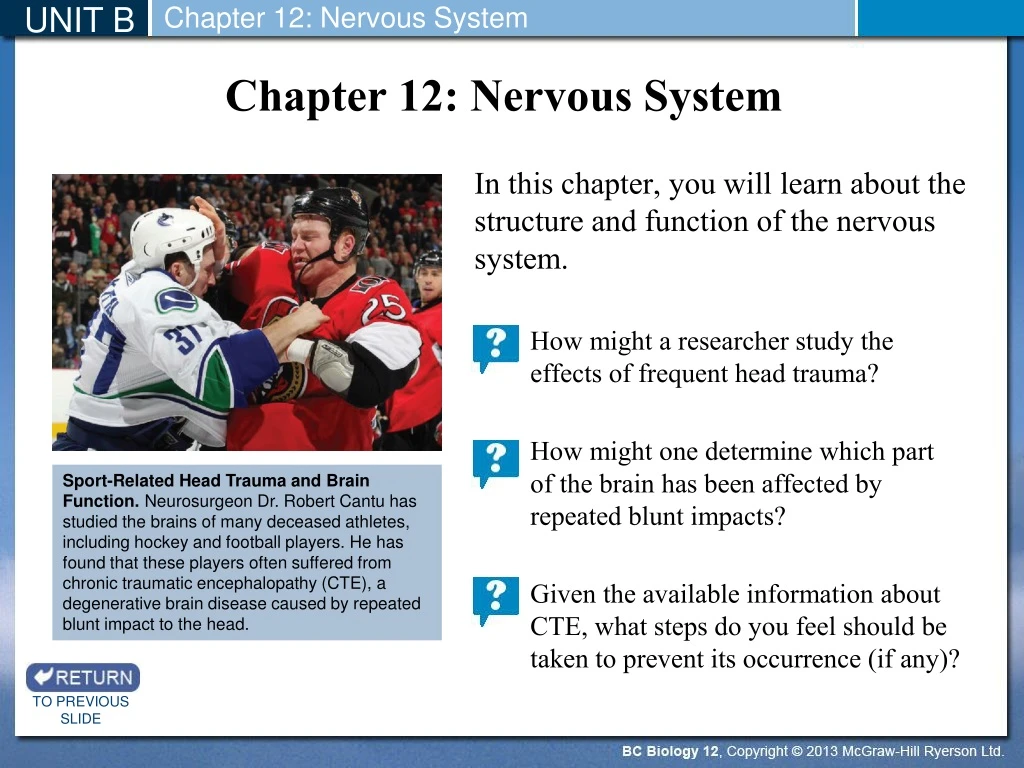 chapter 12 nervous system
