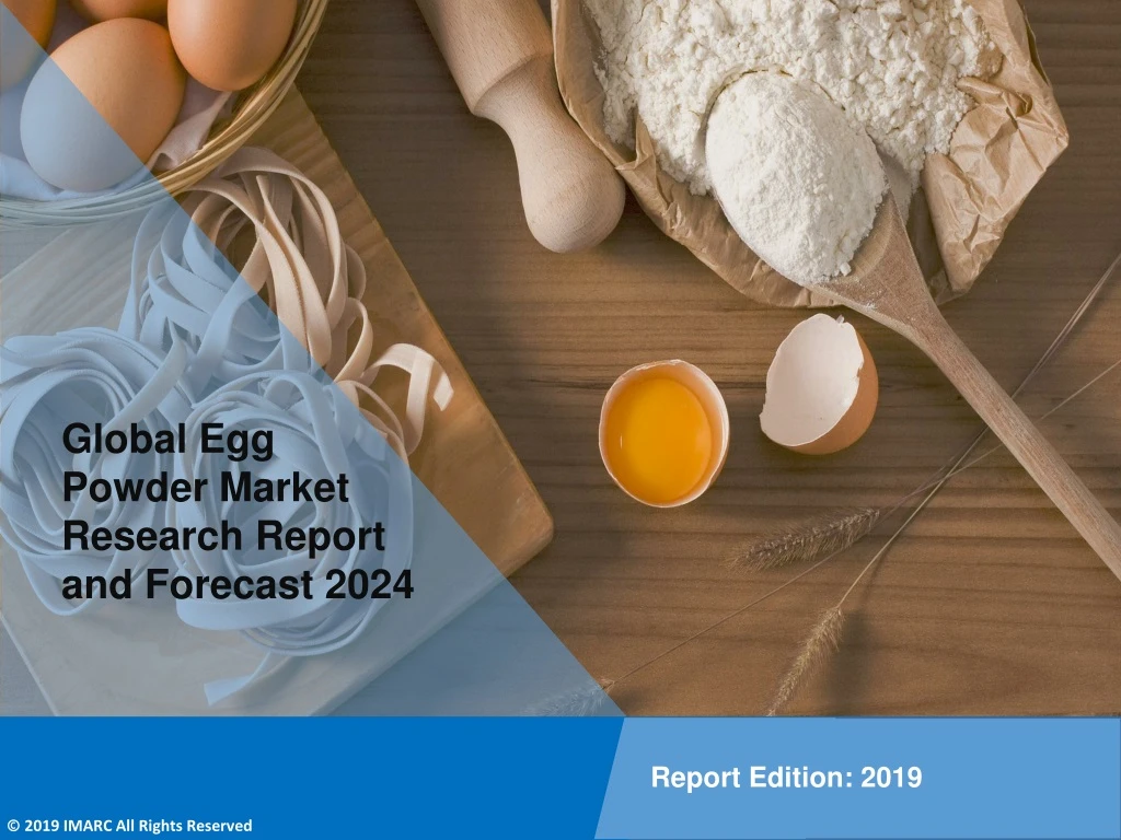 global egg powder market research report