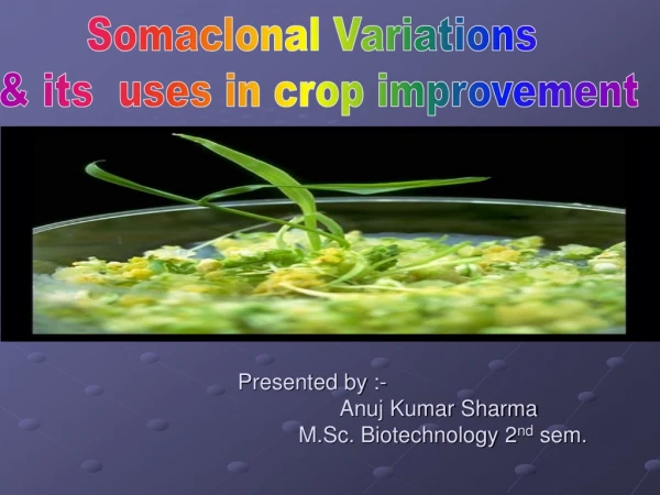 Presented by :- Anuj Kumar Sharma M.Sc. Biotechnology 2 nd sem.