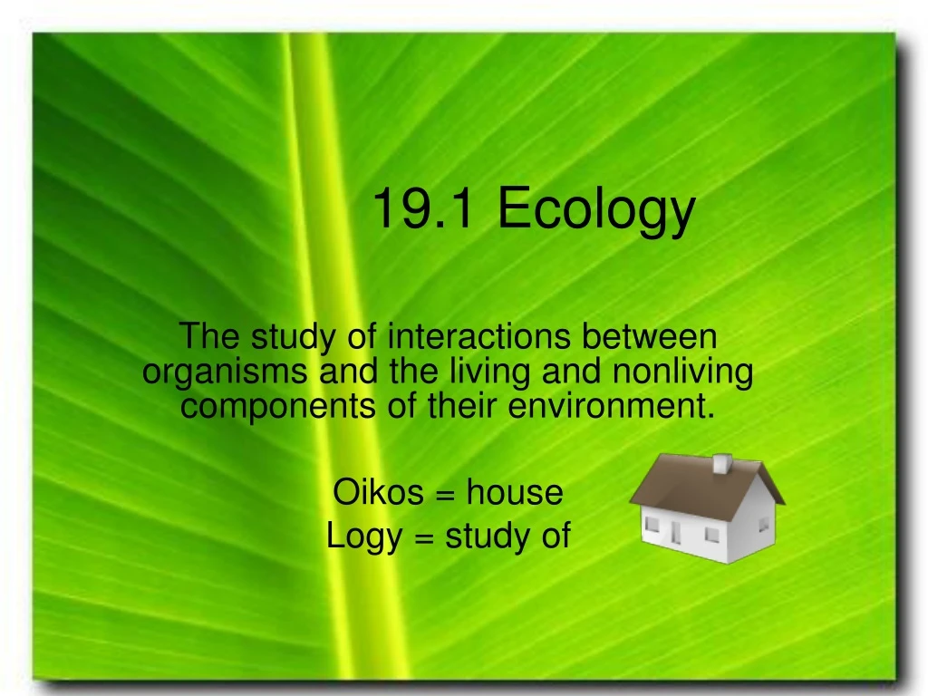 19 1 ecology