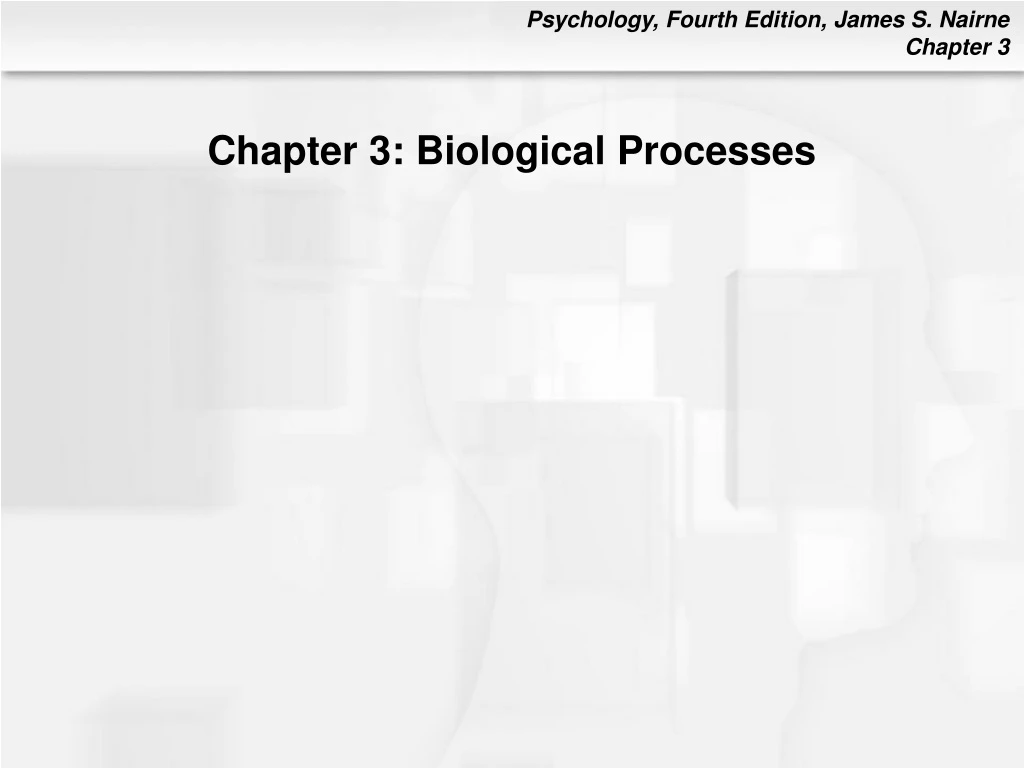 chapter 3 biological processes