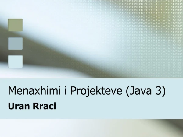 Menaxhimi i Projekteve (Java 3)
