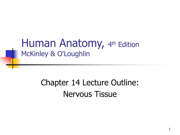 Human Anatomy, 4 th Edition McKinley &amp; O'Loughlin
