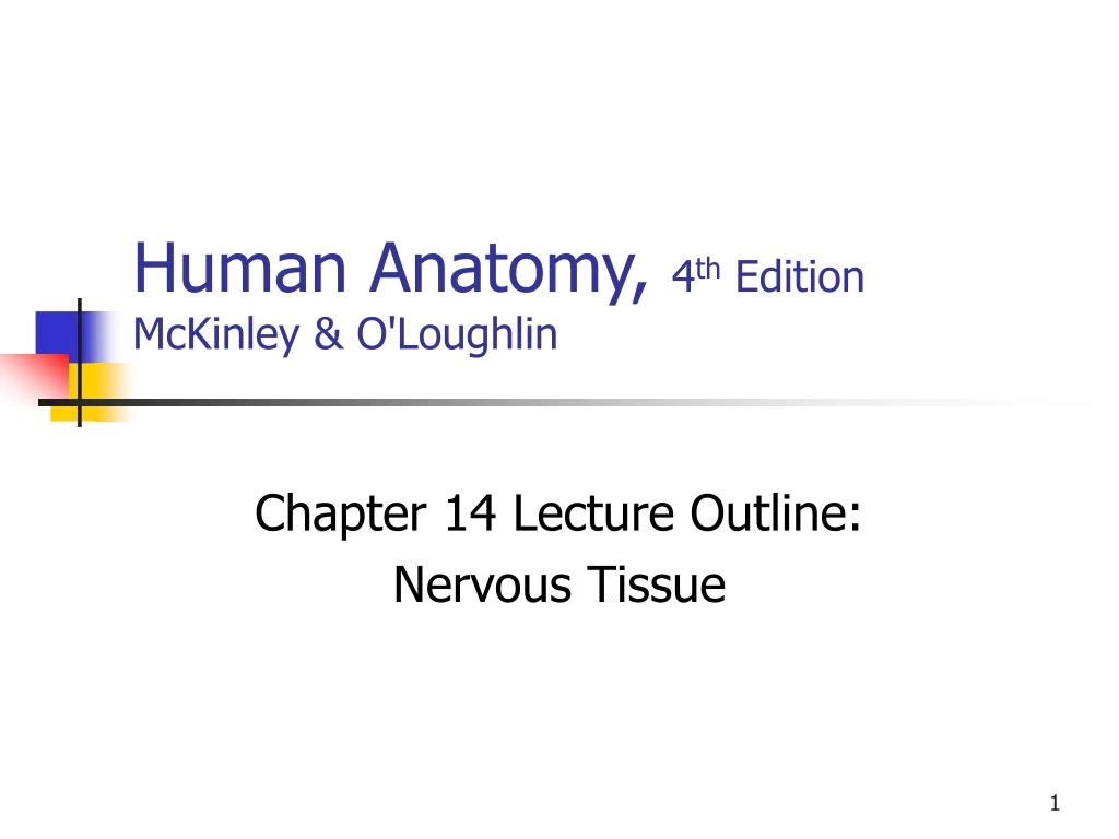 human anatomy 4 th edition mckinley o loughlin