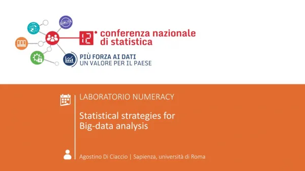 LABORATORIO NUMERACY Statistical strategies for Big-data analysis