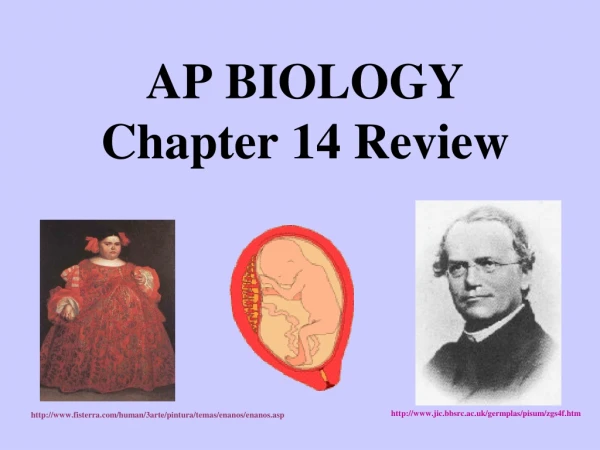 AP BIOLOGY Chapter 14 Review