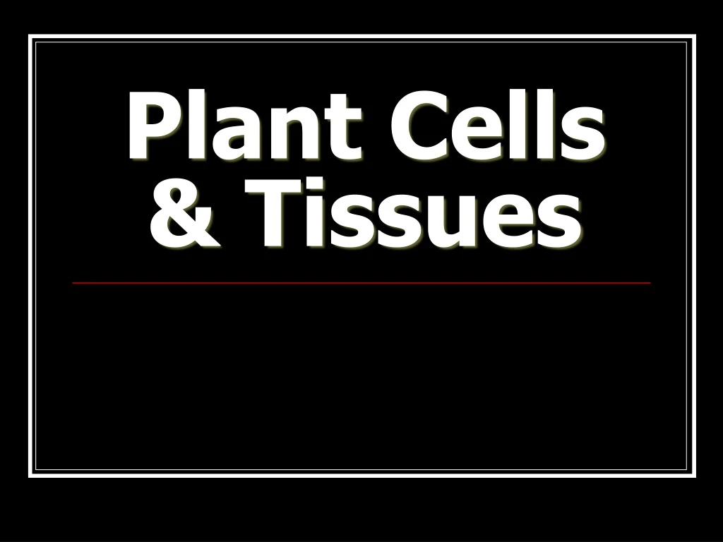 plant cells tissues