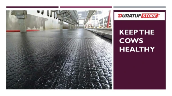 Keep The Cows Healthy With Duratuf Cow Mats!